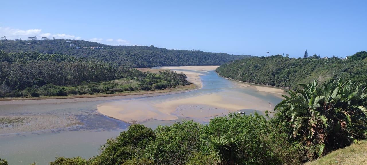 A river estuary with sandbanks, winding through coastal forest towards the sea