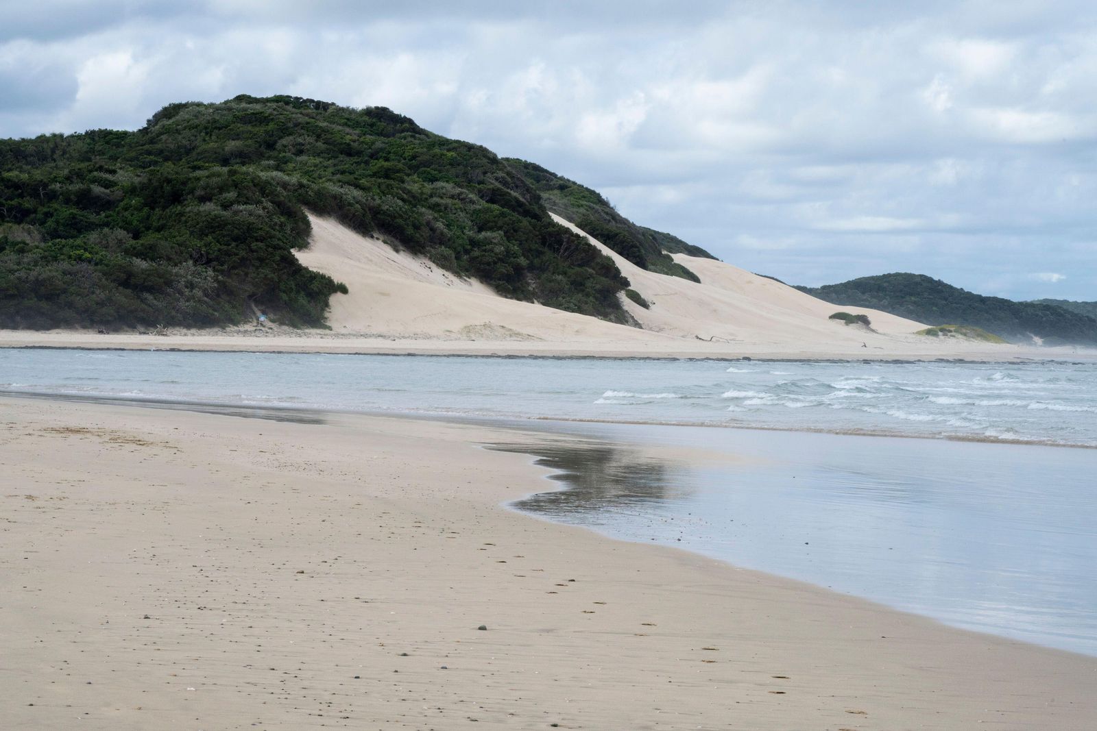 Dunes and coastal bush above a quiet beach near East London